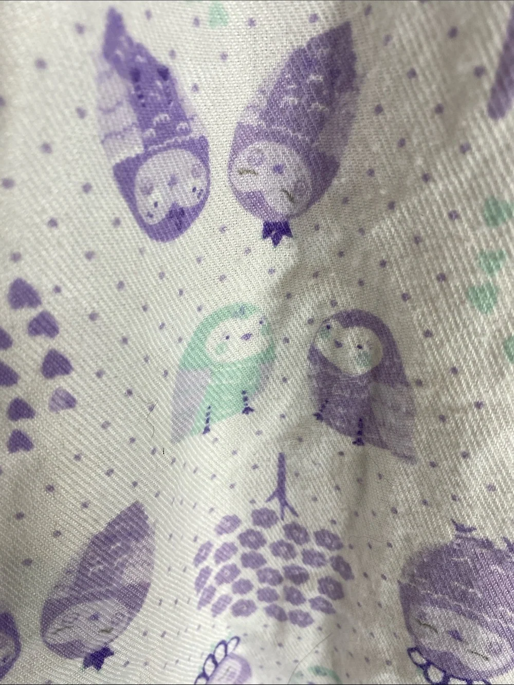 Pottery Barn Kids Purple and Mint Owls print Nightgown